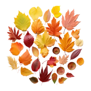 Herbst-Pizza